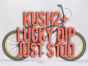 Lucky dip BMX bike Kush 2+