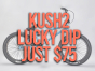 Lucky dip BMX bike Kush 2