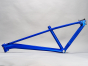 La plaga Signature LP Frame Blue