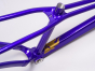La plaga Signature LP Frame Purple